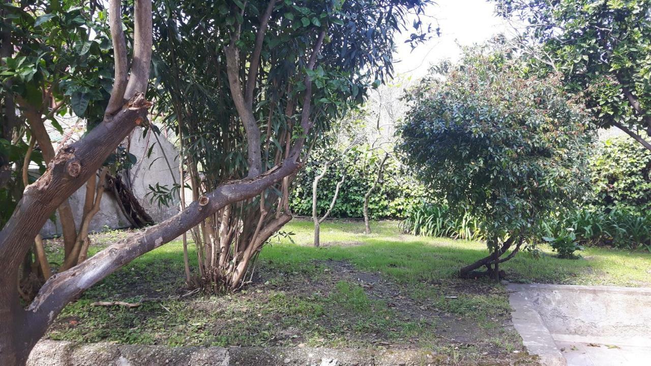 דירות מסינה Giardino Labruto מראה חיצוני תמונה